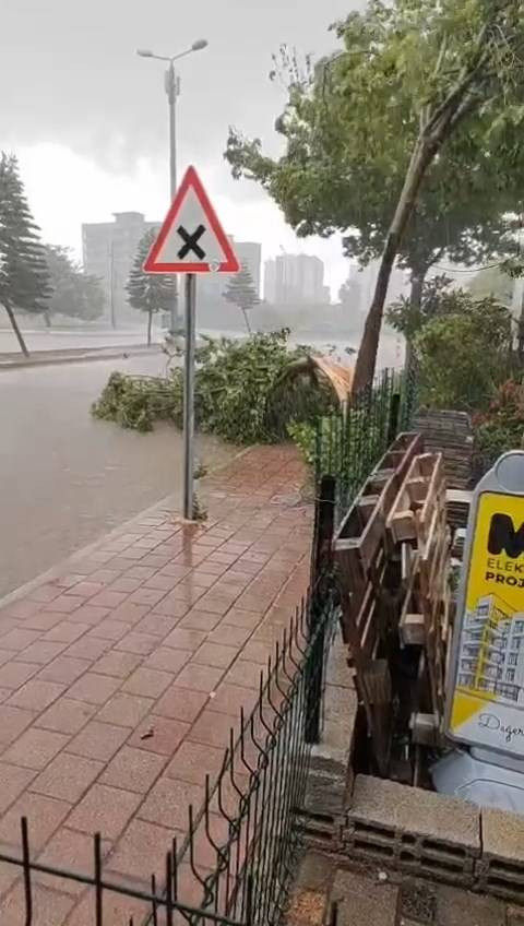 Adana'da fırtına ve sağanak: Ağaçlar devrildi, yollar göle döndü - Resim: 8